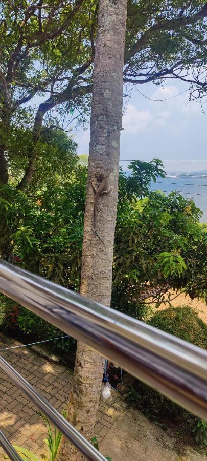 Jungle Beach Restaurant And Hotel-Jbr Ґалле Екстер'єр фото